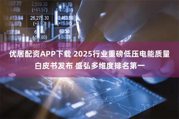 优居配资APP下载 2025行业重磅低压电能质量白皮书发布 盛弘多维度排名第一